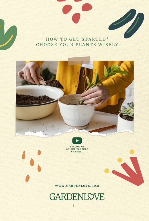 Caminando hacia la paz - Imagen 2