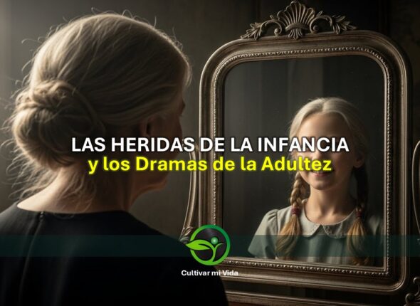 Imagen para pagina Web.jpg