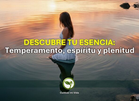Imagen para pagina Webv2.jpg