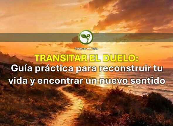 Imagen para pagina Webv2.jpg